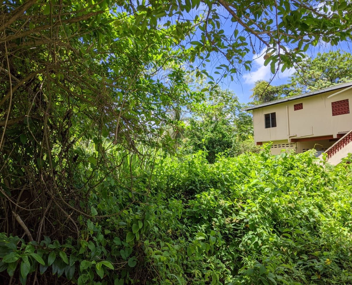 Mayaro Archives House Hunters mayaro-archives-house-hunters